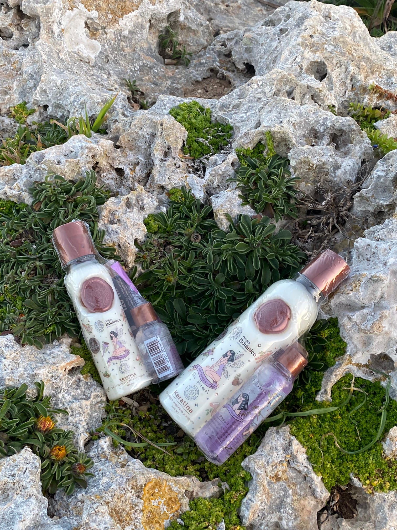 RITUAL BOTÁNICO DE ALISADO - KERATINA VEGANA SIN FORMOL - 120 ml