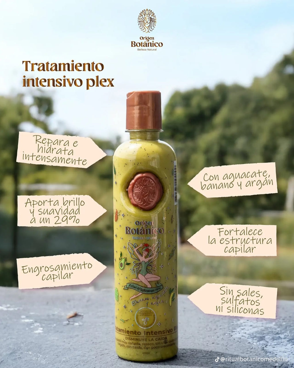 TRATAMIENTO ULTRA REPARADOR FRUTAL INTENSIVO PLEX - 400 ml
